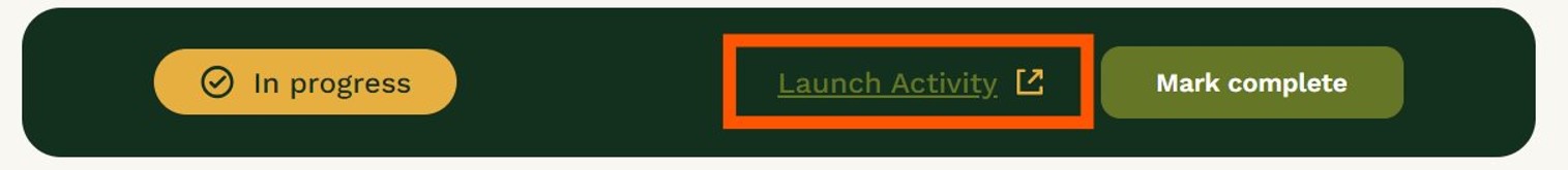 Buttons tool bar with 'In progress', 'Launch Activity' and 'Mark complete' button options