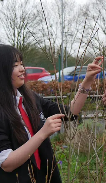 A student observes a tree