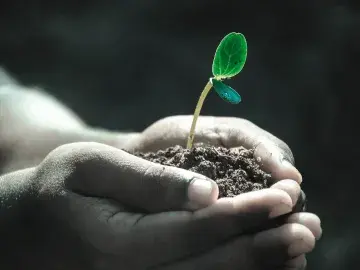 Soil in hands