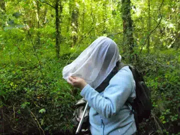 Scientist with head in bug net