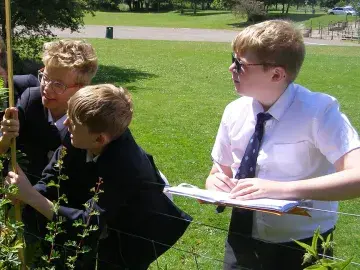 Students survey trees as part of a Y8 stats lesson