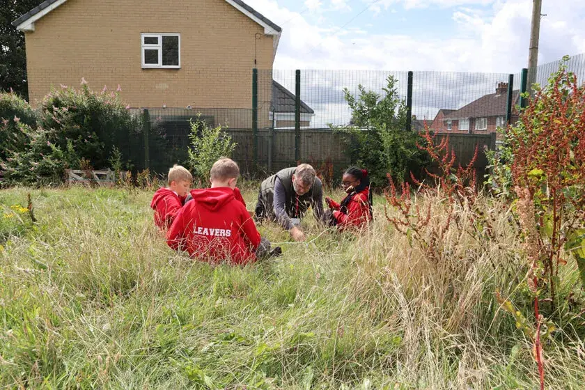 Students observing nature in long grass on school field