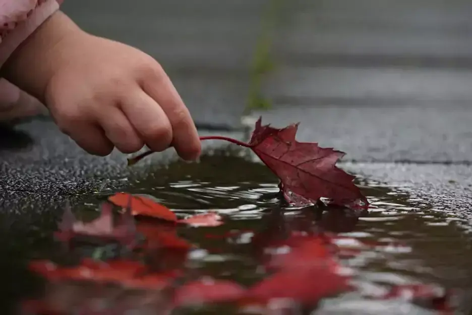 hand holding leaf