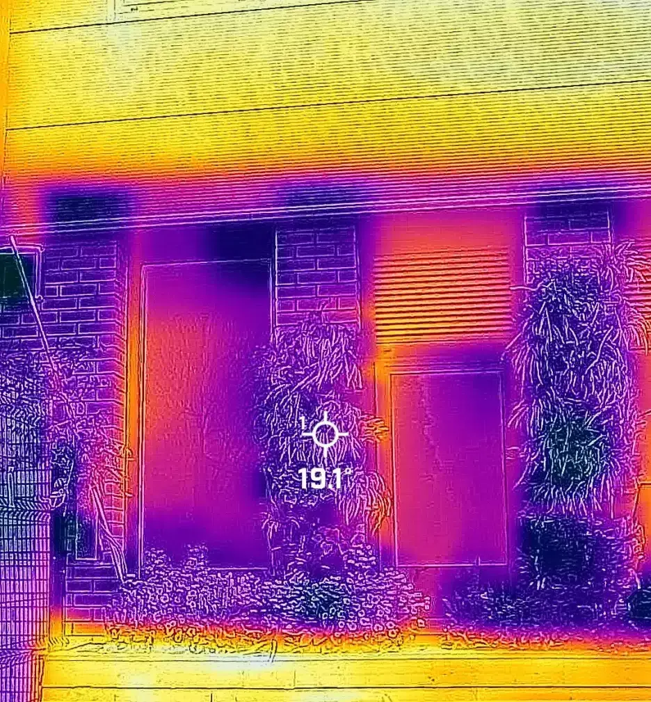Thermal imaging of Co-op Academy's green wall