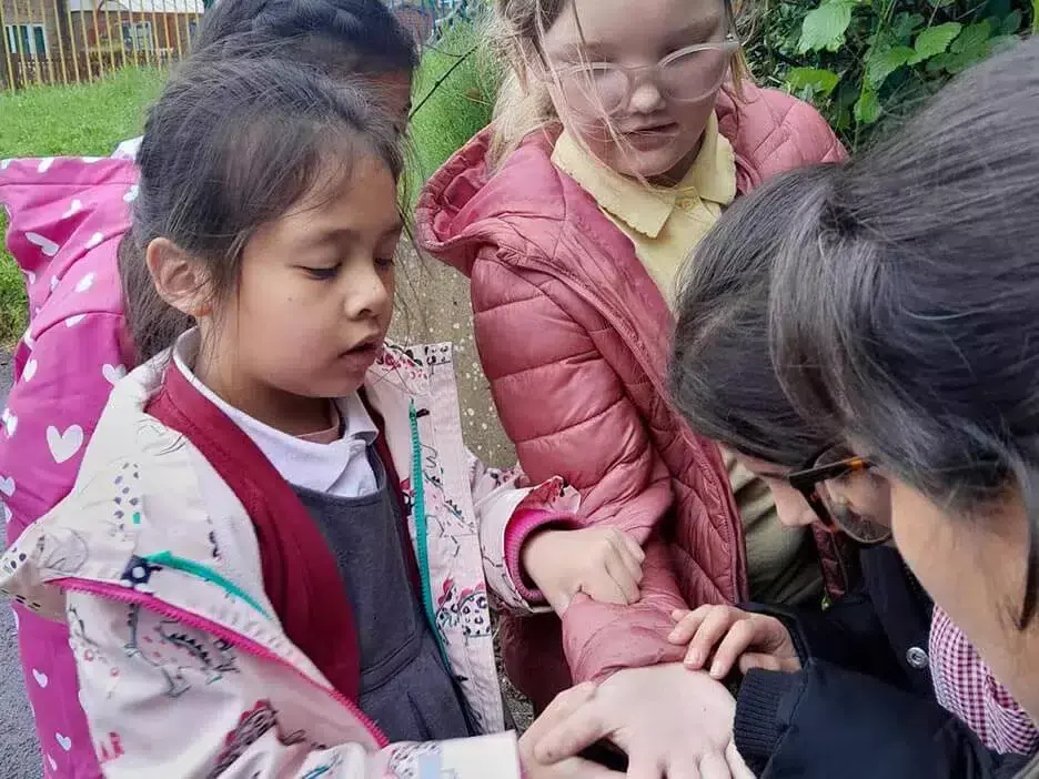 A group of pupils observe an insect on someone's hand