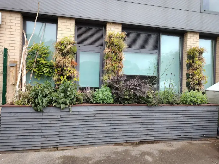 Grey planters against a wall with plants in