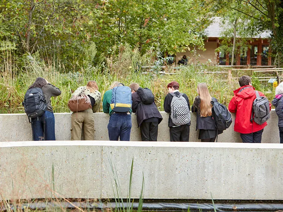 A row of students from behind looking into a pond