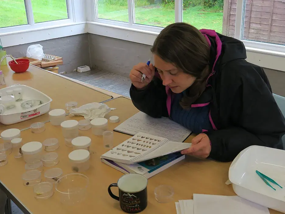 A scientist sits at a desk looking at a book while surrounded by equipment such as sample jars and trays