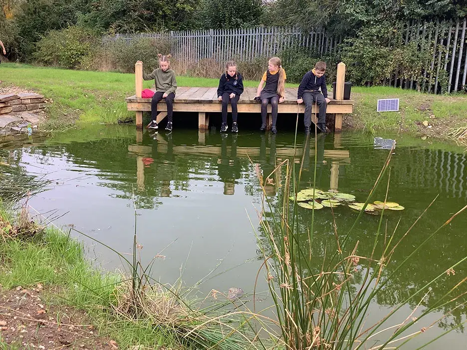 Pupils look into a pond on their school grounds