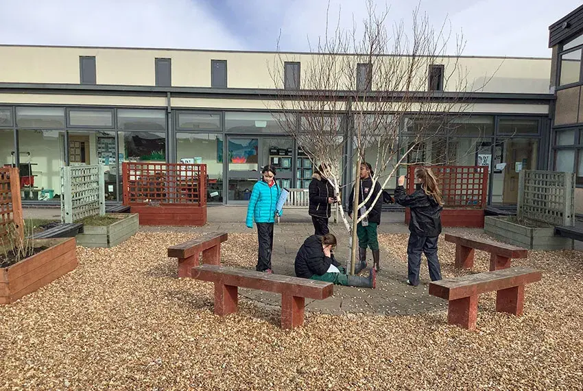 Pupils conducting tree surveys to assess the tree habitats they have