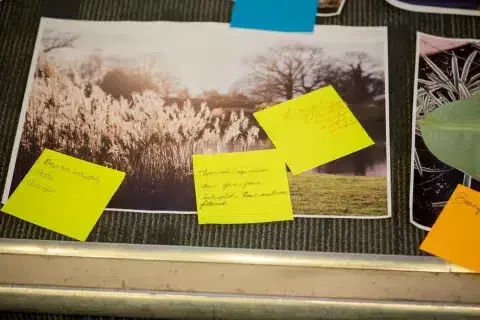 Nature photographs annotated with sticky notes