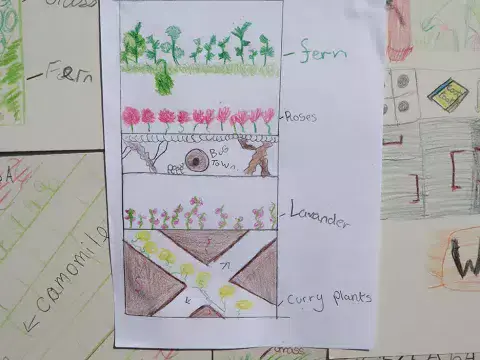 A pupil's drawing of plans for a green wall