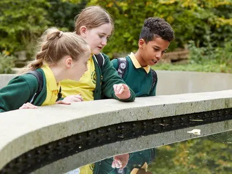 Three pupils look into a pond