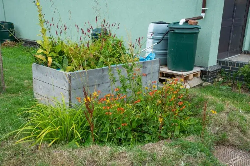 Drainpipe feeding into a rain garden